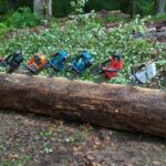 Battery Top-Handle Chainsaw Test