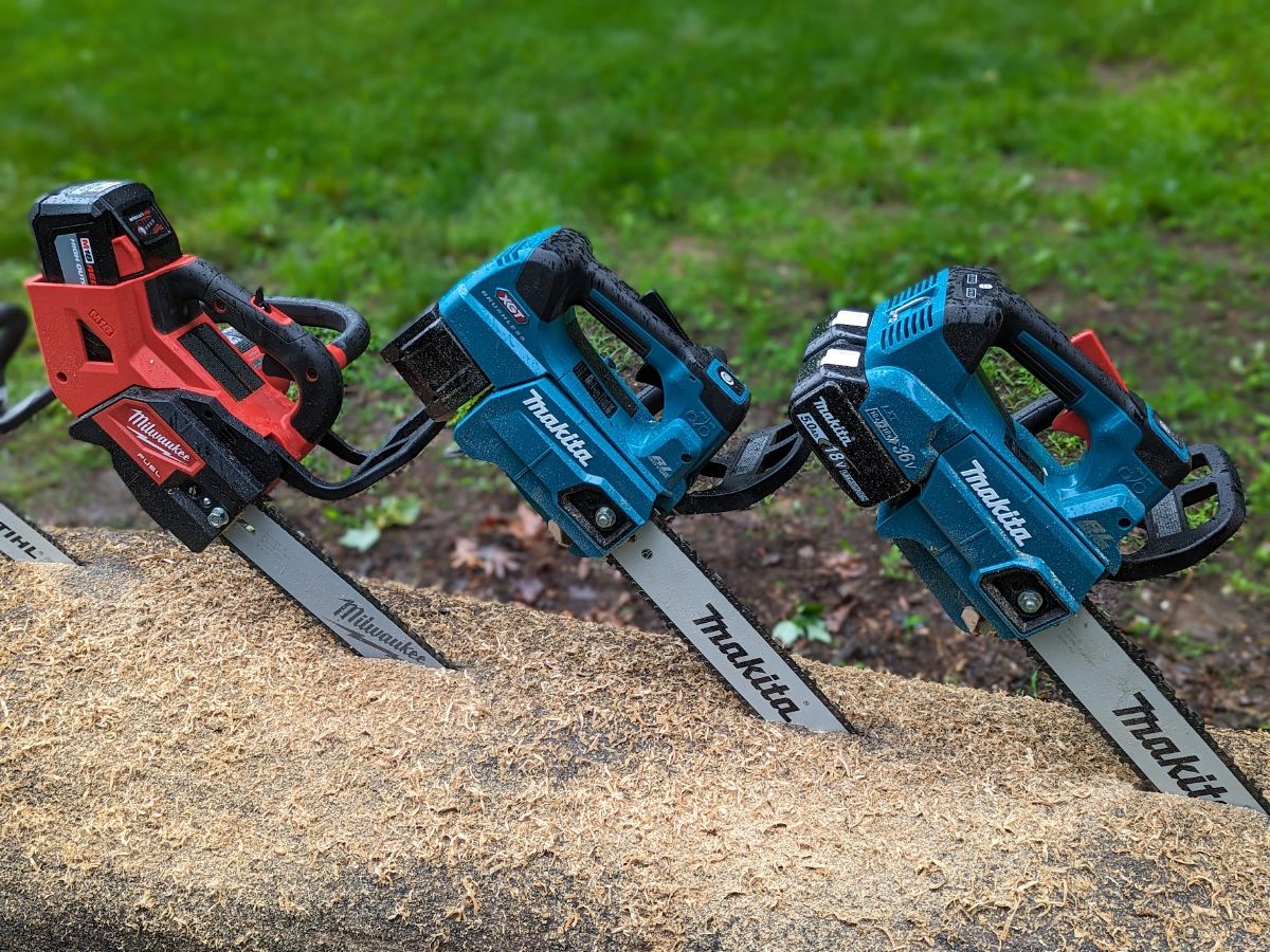 The Battery-Powered Chainsaw: Toy or Tool?, Spring 2021, Articles